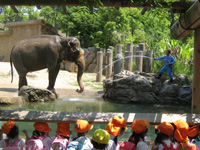 zoo